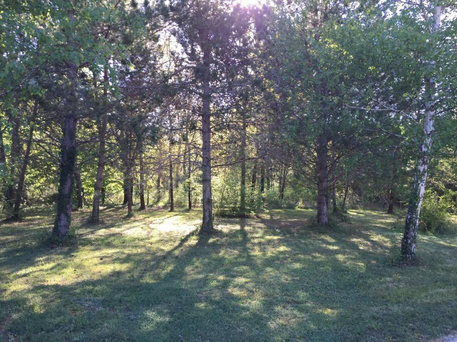 Grande maison avec parc de 6000m2 Pompiey Extérieur photo